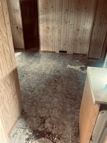 315 Haultain Avenue, Heisler, AB 
