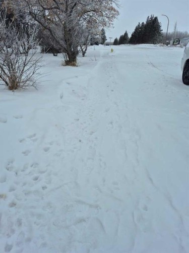 315 Haultain Avenue, Heisler, AB 