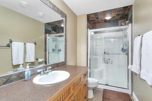 57-39408 Range Road 21, Rural Lacombe County, AB - Indoor Photo Showing Bathroom