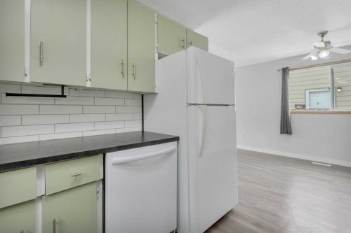9 Cardinal Avenue, Red Deer, AB - Indoor Photo Showing Kitchen