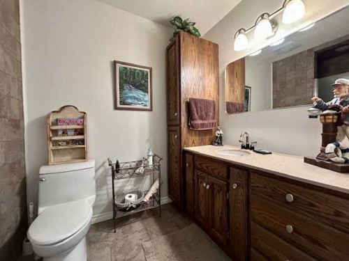 19438 Twp Rd 430, Rural Camrose County, AB - Indoor Photo Showing Bathroom