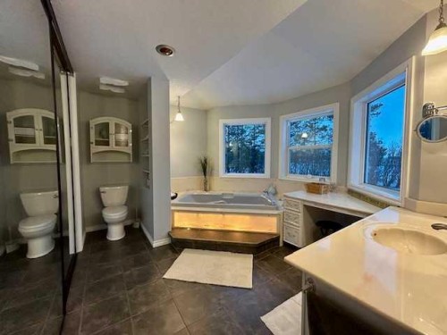 19438 Twp Rd 430, Rural Camrose County, AB - Indoor Photo Showing Bathroom