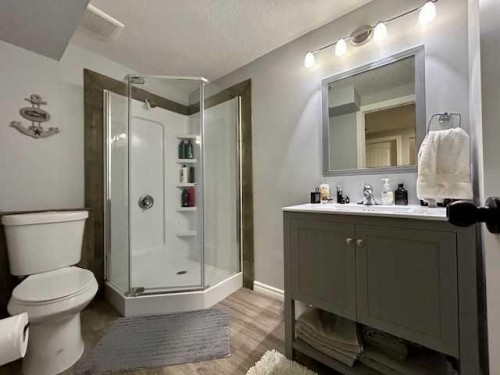 19438 Twp Rd 430, Rural Camrose County, AB - Indoor Photo Showing Bathroom