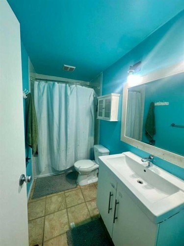 3905 52 Avenue, Ponoka, AB - Indoor Photo Showing Bathroom