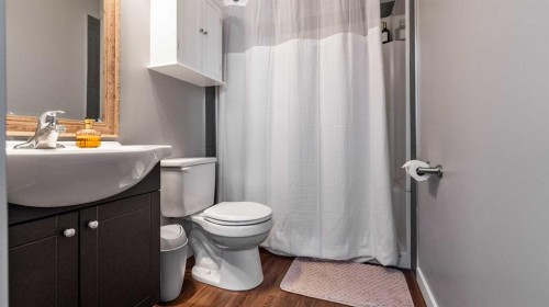 47020 Range Road 162, Rural Beaver County, AB - Indoor Photo Showing Bathroom
