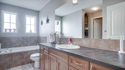 148 Valley Crescent, Blackfalds, AB - Indoor Photo Showing Bathroom
