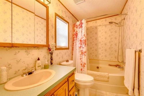 154 Devilder, Trochu, AB - Indoor Photo Showing Bathroom