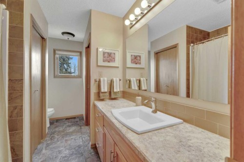 38459 Range Road 283, Rural Red Deer County, AB - Indoor Photo Showing Bathroom