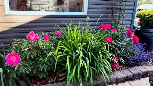 38459 Range Road 283, Rural Red Deer County, AB - Outdoor