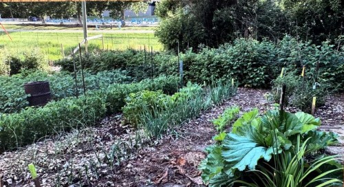 38459 Range Road 283, Rural Red Deer County, AB - Outdoor