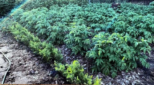 38459 Range Road 283, Rural Red Deer County, AB - Outdoor