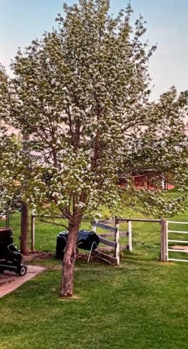 38459 Range Road 283, Rural Red Deer County, AB - Outdoor With View