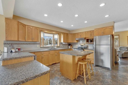 38459 Range Road 283, Rural Red Deer County, AB - Indoor Photo Showing Kitchen With Double Sink