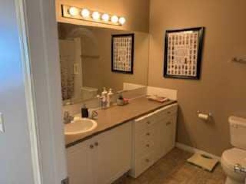 47-33 Donlevy Avenue, Red Deer, AB - Indoor Photo Showing Bathroom