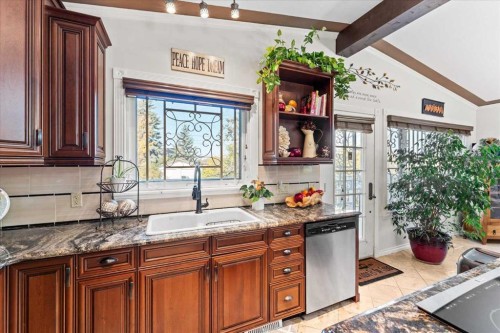 11124 110A Avenue, Edmonton, AB - Indoor Photo Showing Kitchen With Double Sink