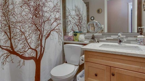 143 Ackerman Crescent, Red Deer, AB - Indoor Photo Showing Bathroom