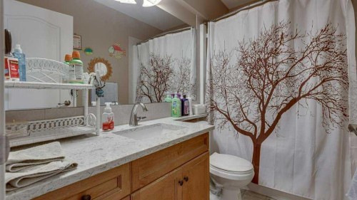 143 Ackerman Crescent, Red Deer, AB - Indoor Photo Showing Bathroom