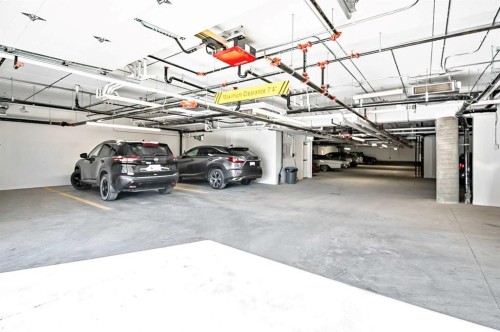 302-97 Station Drive, Sylvan Lake, AB - Indoor Photo Showing Garage