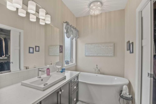 38272 Range Road 265, Rural Red Deer County, AB - Indoor Photo Showing Bathroom