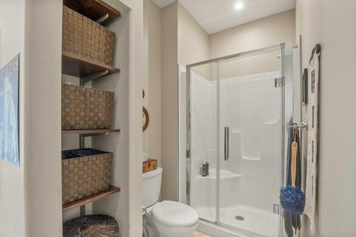 38272 Range Road 265, Rural Red Deer County, AB - Indoor Photo Showing Bathroom