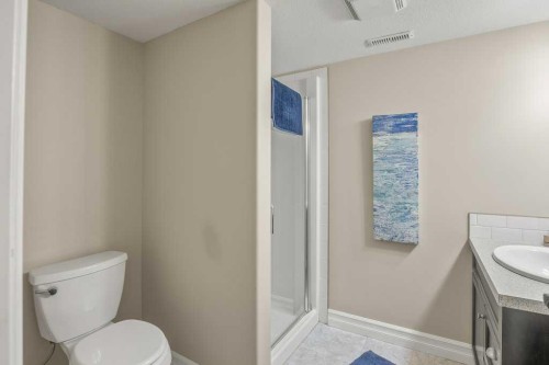 38272 Range Road 265, Rural Red Deer County, AB - Indoor Photo Showing Bathroom