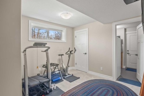 38272 Range Road 265, Rural Red Deer County, AB - Indoor Photo Showing Gym Room