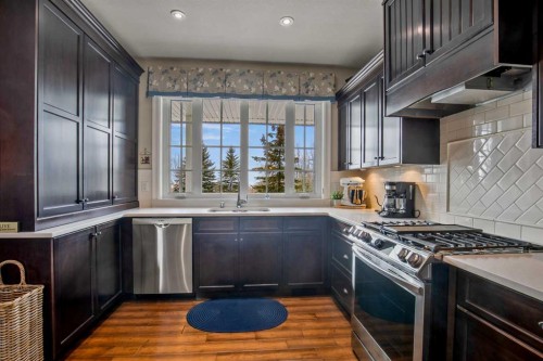 38272 Range Road 265, Rural Red Deer County, AB - Indoor Photo Showing Kitchen With Upgraded Kitchen