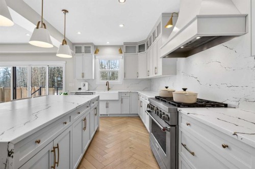 20320 29 Avenue Nw, Edmonton, AB - Indoor Photo Showing Kitchen With Upgraded Kitchen