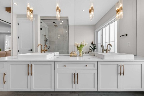 20320 29 Avenue Nw, Edmonton, AB - Indoor Photo Showing Bathroom