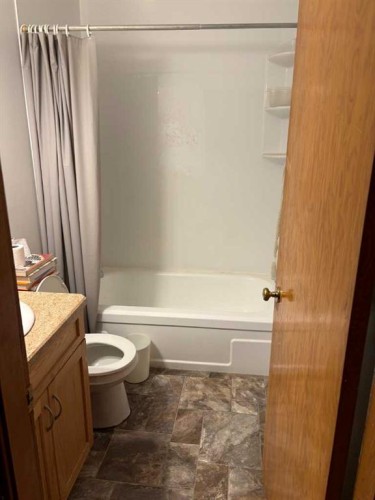 201 A&B First Street, Morrin, AB - Indoor Photo Showing Bathroom