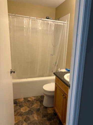 201 A&B First Street, Morrin, AB - Indoor Photo Showing Bathroom