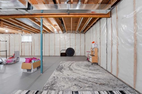 34 Mitchell Crescent, Blackfalds, AB - Indoor Photo Showing Basement