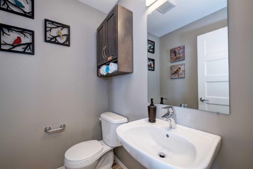 15 Golden Crescent, Red Deer, AB - Indoor Photo Showing Bathroom