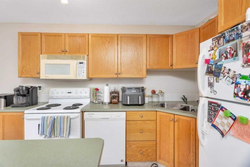 116 Arthur Close, Red Deer, AB - Indoor Photo Showing Kitchen With Double Sink
