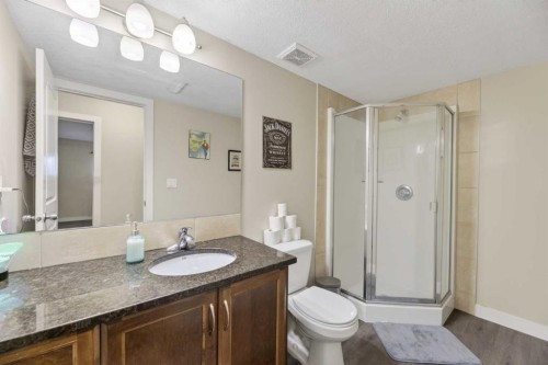1 Destiny Way, Olds, AB - Indoor Photo Showing Bathroom