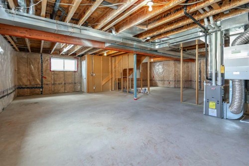 18 Traptow Close, Red Deer, AB - Indoor Photo Showing Basement