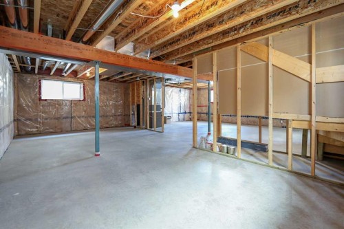 18 Traptow Close, Red Deer, AB - Indoor Photo Showing Basement