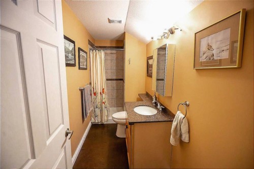 36067-42 Range Road Range, Rural Red Deer County, AB - Indoor Photo Showing Bathroom