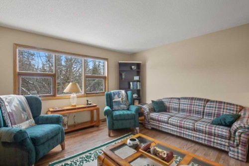 45 Ravenscrag Crescent, Norglenwold, AB - Indoor Photo Showing Living Room