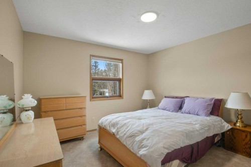45 Ravenscrag Crescent, Norglenwold, AB - Indoor Photo Showing Bedroom