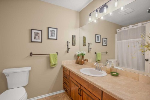 45 Emily Crescent, Lacombe, AB - Indoor Photo Showing Bathroom