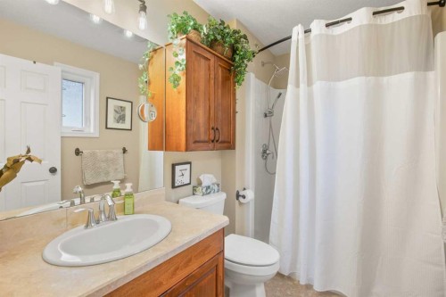 45 Emily Crescent, Lacombe, AB - Indoor Photo Showing Bathroom