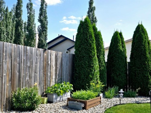 22 Sparrow Close, Blackfalds, AB - Outdoor