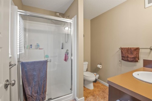 6 Van Slyke Way, Red Deer, AB - Indoor Photo Showing Bathroom