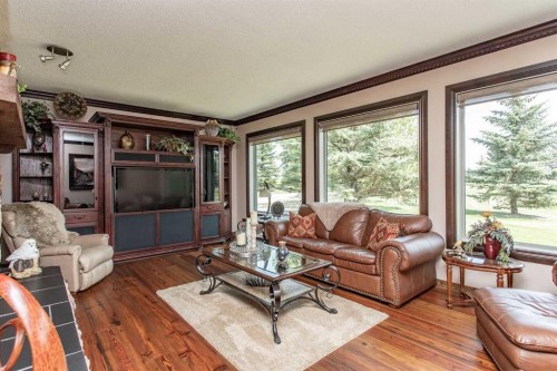 38212 Range Road 252, Rural Lacombe County, AB - Indoor Photo Showing Living Room