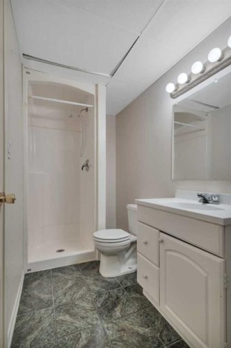 6 Jenkins Drive, Red Deer, AB - Indoor Photo Showing Bathroom