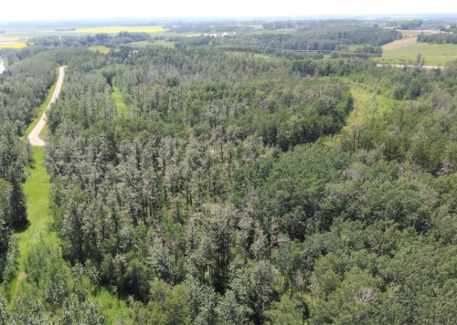 5650 Lakeside Way, Innisfail, AB 