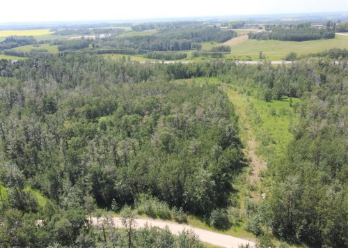 5650 Lakeside Way, Innisfail, AB 