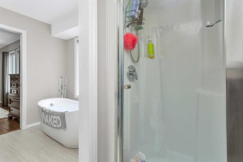 49 Coventry Lane, Lacombe, AB - Indoor Photo Showing Bathroom