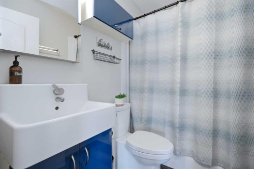 252 Lancaster Drive, Red Deer, AB - Indoor Photo Showing Bathroom
